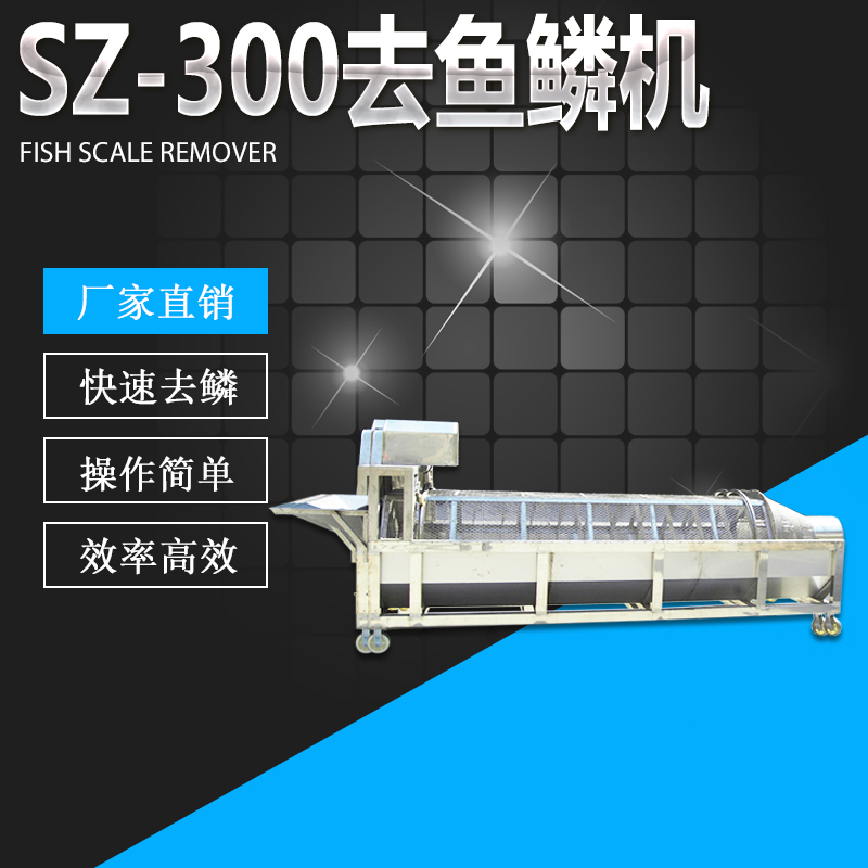 SZ-300ȥۻ